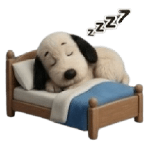 Snoopy teddy 🦴🏠 9