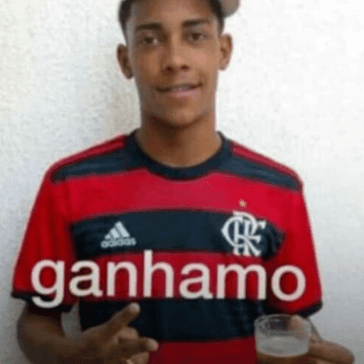 Memes flamengo 15