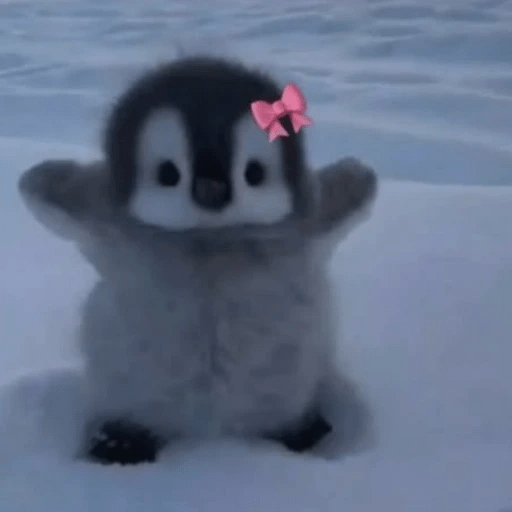 💓 Pingüinos bebé 2🐧 11