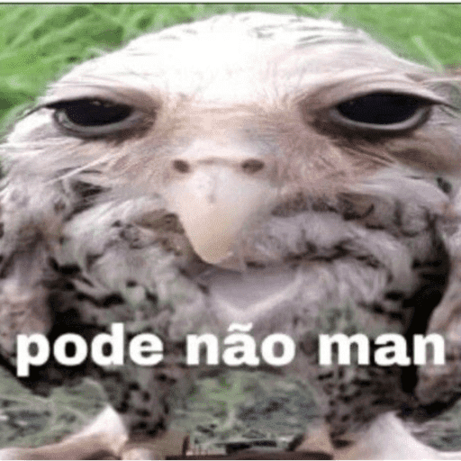 Shitpost de qualidade 1