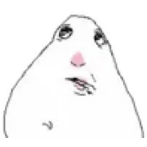 Hamster 2 3