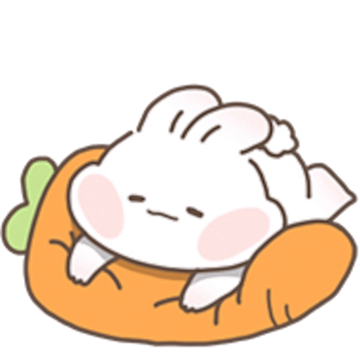 🐰 Conejito Bunny reactions 🐰🥕 12