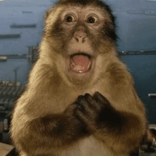 Macaco 12