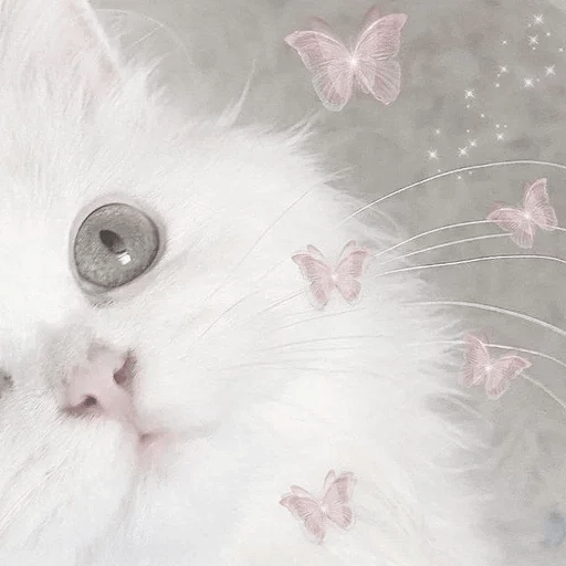 Cats Michi ฅ⁠^⁠•⁠ﻌ⁠•⁠^⁠ฅ 🐈‍⬛ 19