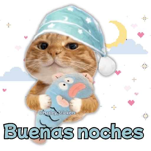 🧋🍉 GATOS que NECESITAS 🍉🧋 3