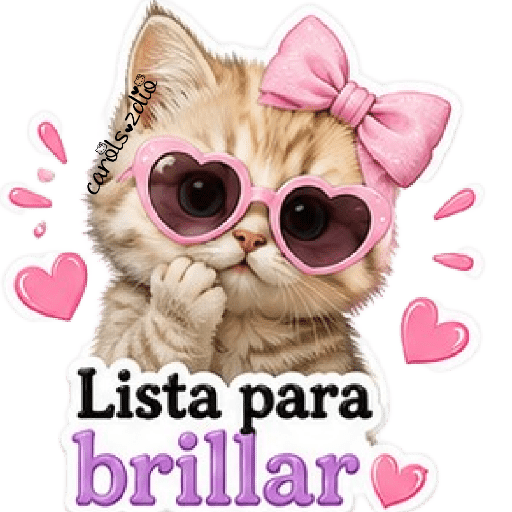 Gatos Coquette 💕🎀 12