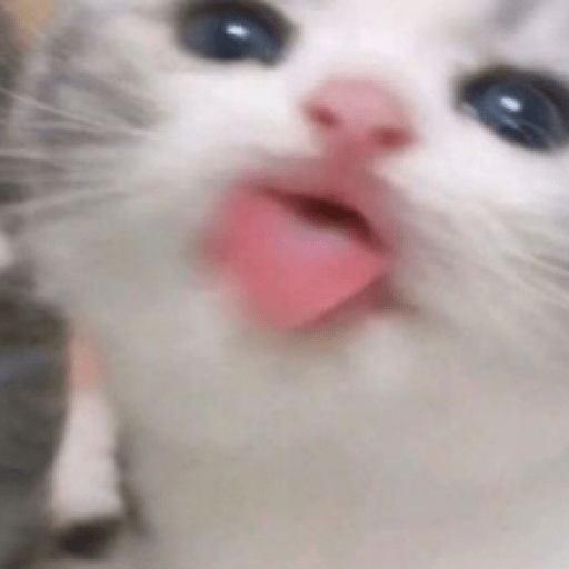 Gatitos 🤗 8