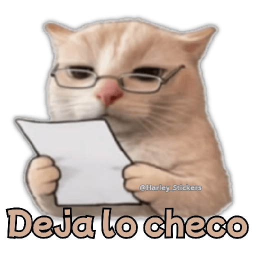 🧋🍉 GATOS que NECESITAS 🍉🧋 15