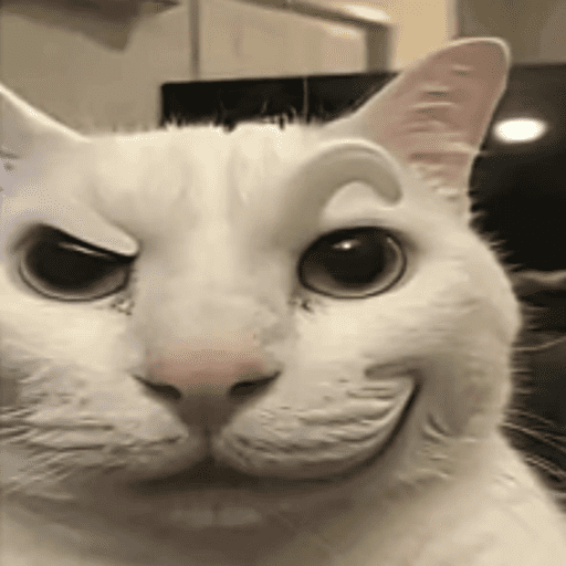 Gatos engraçados  7
