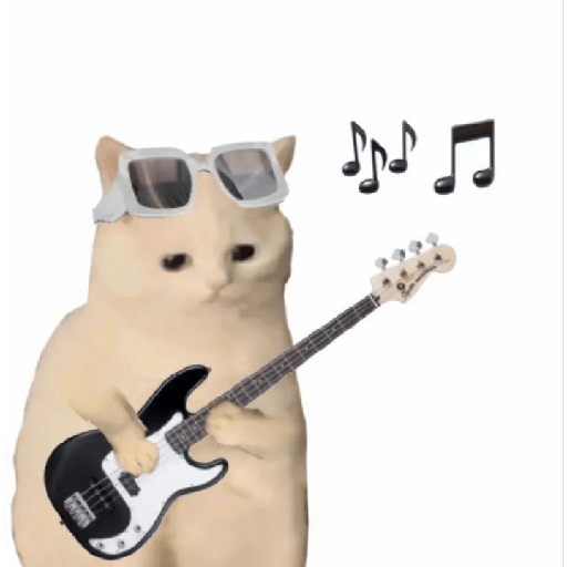 Cute cat 3