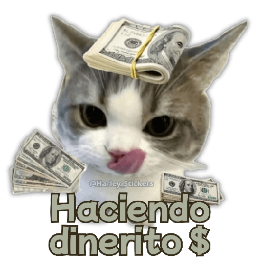 🧋🍉 GATOS que NECESITAS 🍉🧋 13