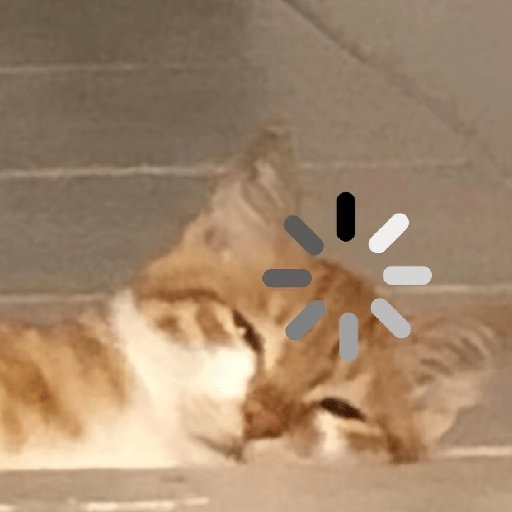 🧿Dilo con Michis1🐱 7