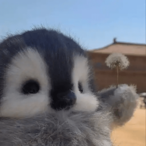 💓 Pingüinos bebé 2🐧 2