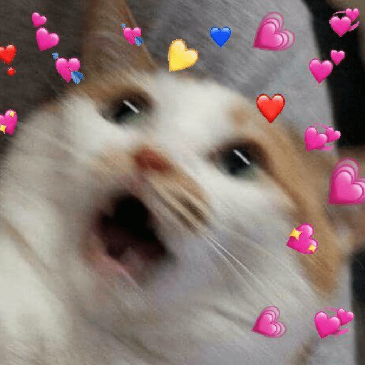 Gatitos ✨️ 8