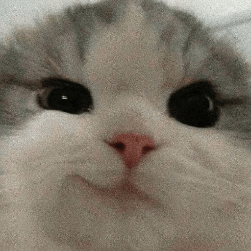 Gatitos 😺 2