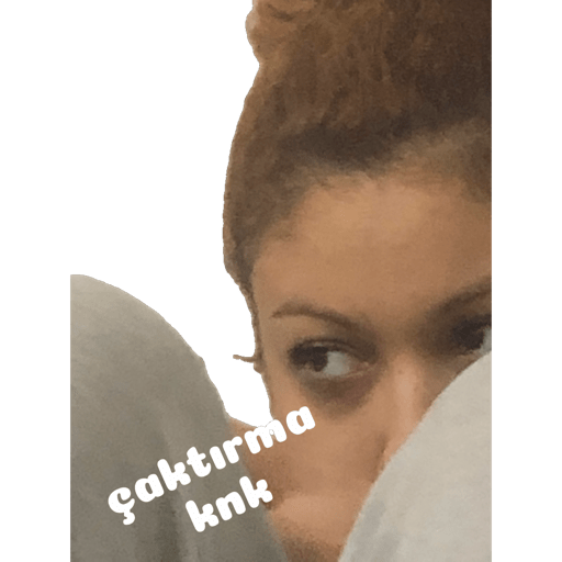 Çıkartmalarım 4