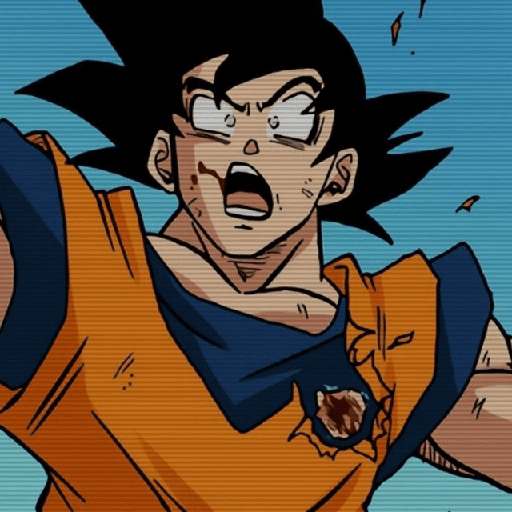 Goku 13