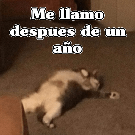 🧿Memes Variados16 😎 7
