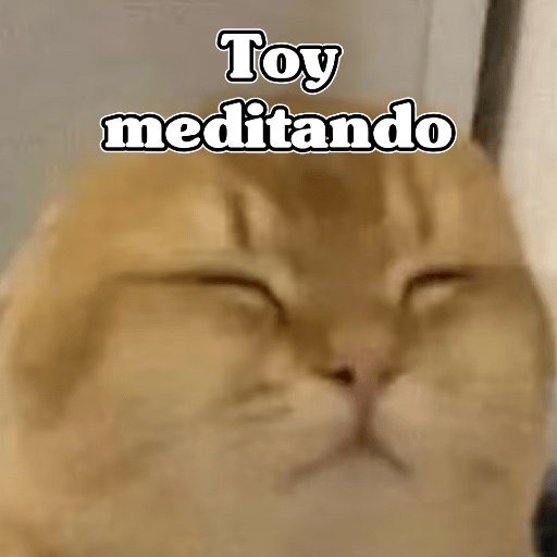 🧿Dilo con Michis2🐱 5
