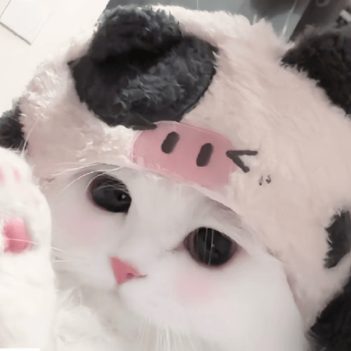 🧿Dilo con Michis3🐱 27