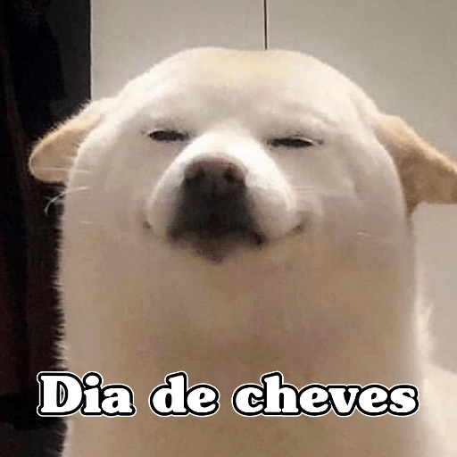 🧿Memes Variados16 😎 3