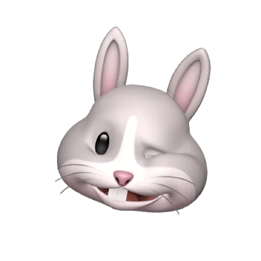 Rabbitmemoji 14