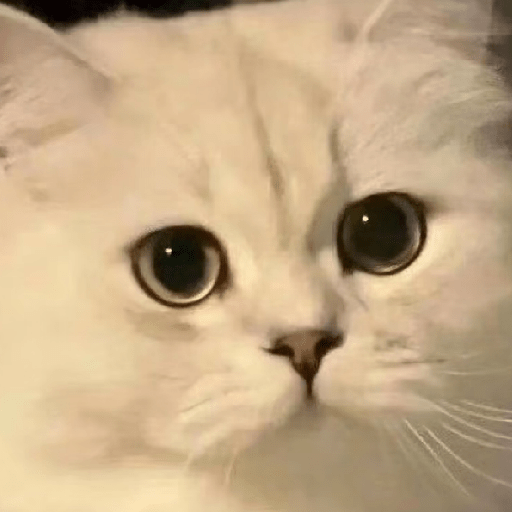 🧿Dilo con Michis1🐱 5