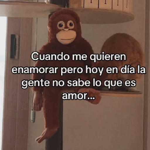 🧿Punch Frases♥️🦧🐒 8