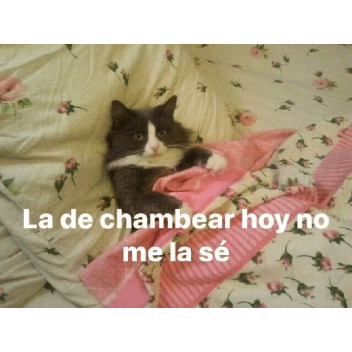 Frases de trabajo 😹 1