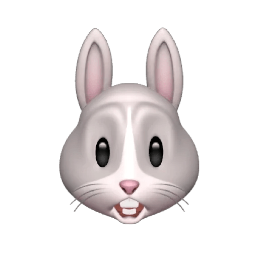 Rabbitmemoji 6