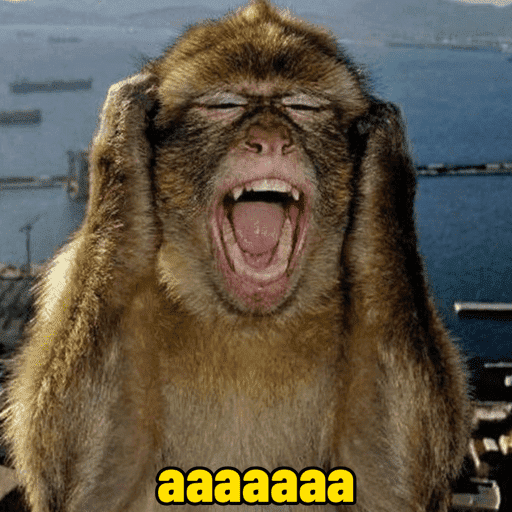 Macacos  10