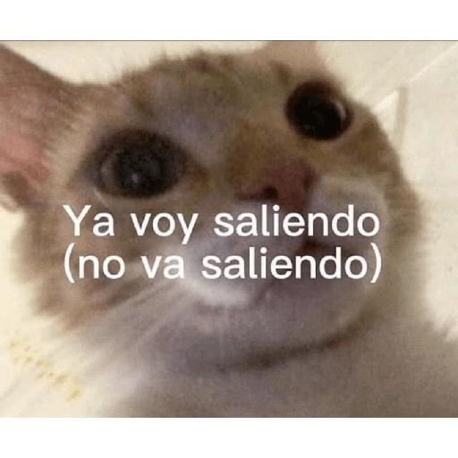 Frases de trabajo 😹 9