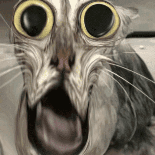Gatos engraçados  3