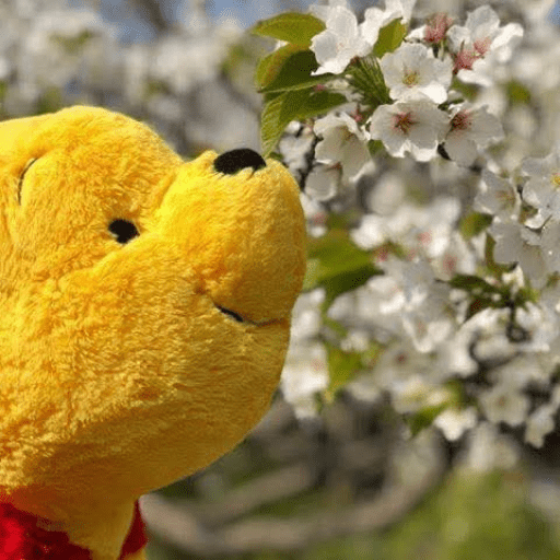 🍂 Winnie the Pooh 🧸🍯🐝 18