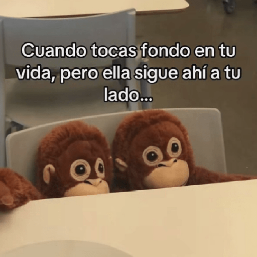 🧿Punch Frases♥️🦧🐒 10