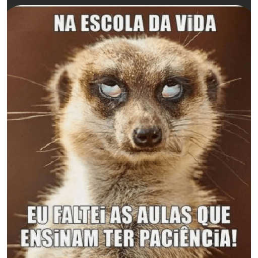 Ironias e etc 3