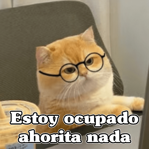 🧿Dilo con Michis3🐱 4