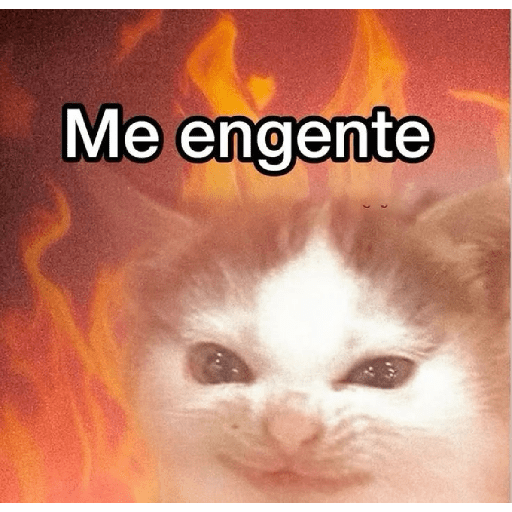 Frases de trabajo 😹 5