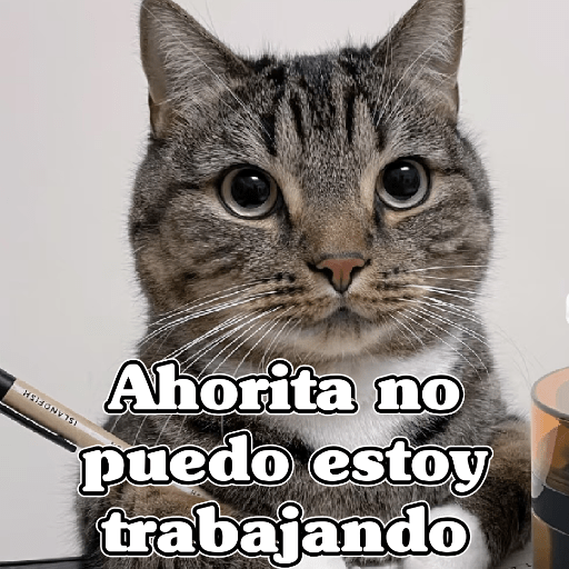 🧿Dilo con Michis2🐱 2