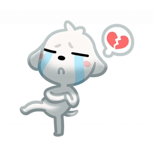 Perrito Blanco 🤍🐕 6