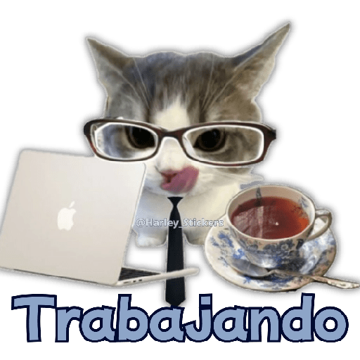 🧋🍉 GATOS que NECESITAS 🍉🧋 2