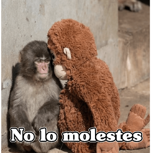 🧿Punch monito bebe🦧🐒 19