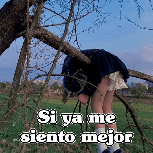 🧿Memes Variados14 😂😎 4