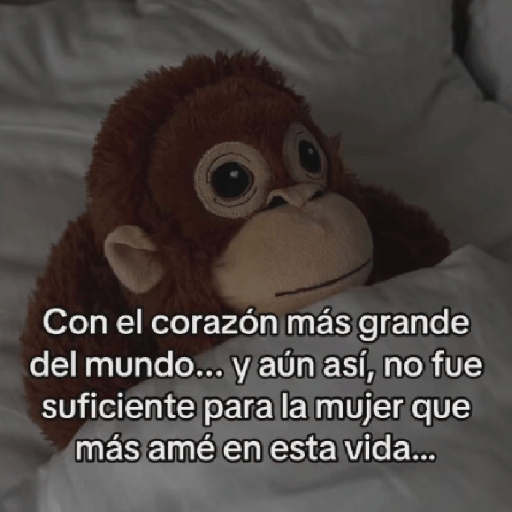 🧿Punch Frases♥️🦧🐒 17