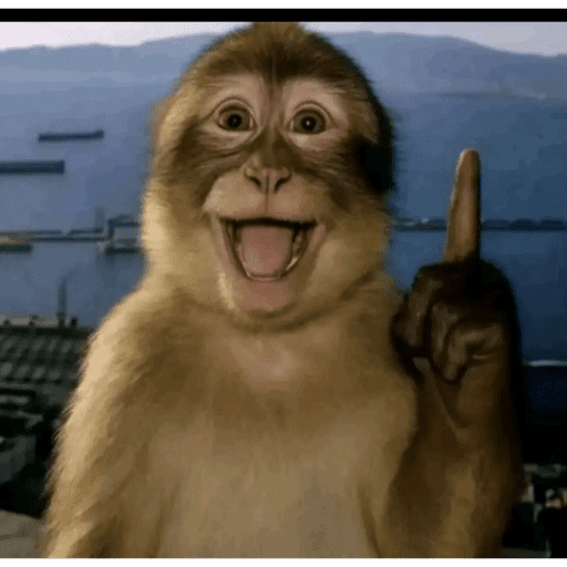 Tamaraaaaaaaaaa 4