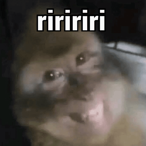 MEMES VARIADOS 8