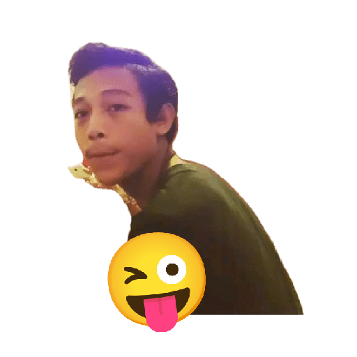 Herdin 7