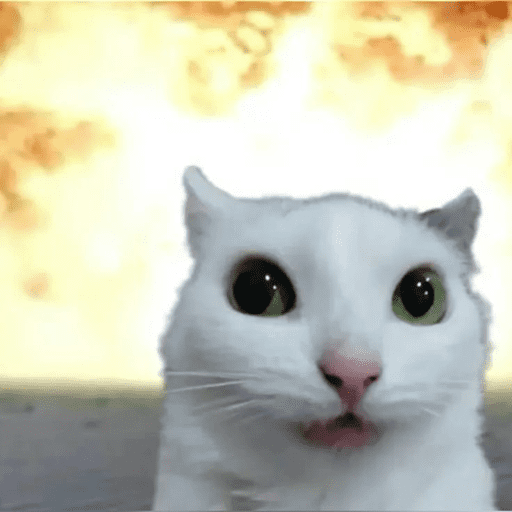 Cats 10 5