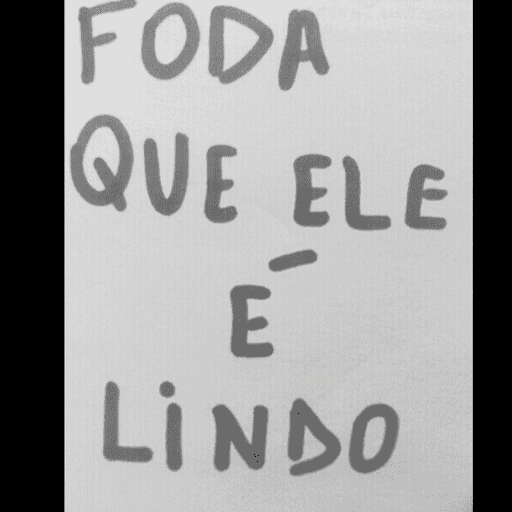 Sapecagens 14
