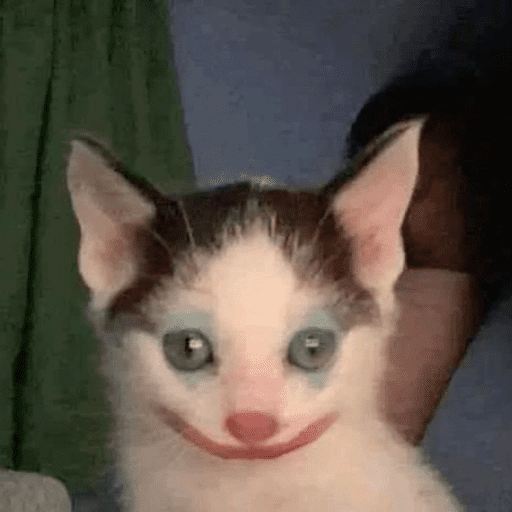 Cats 10 8